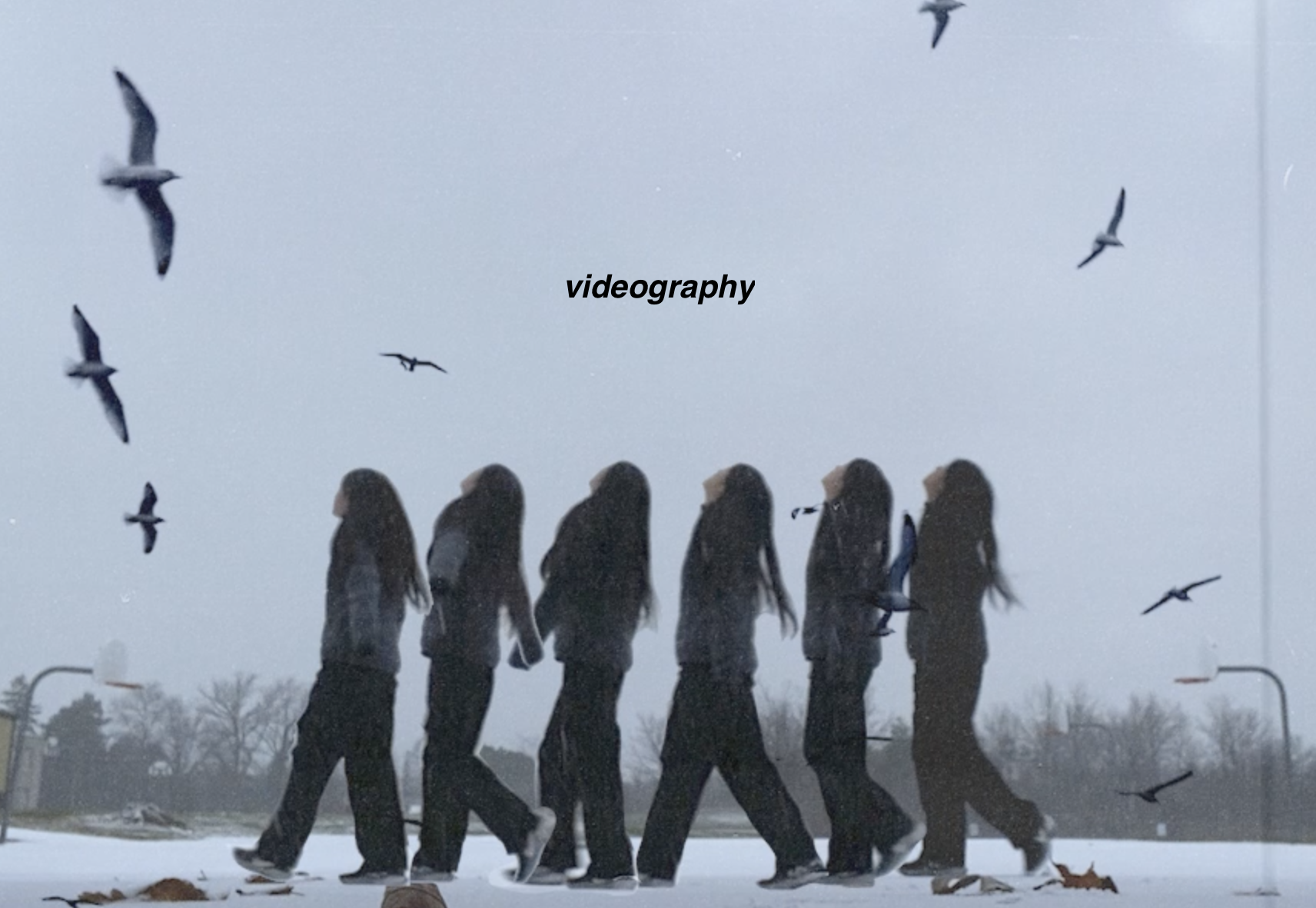 Image of Videography